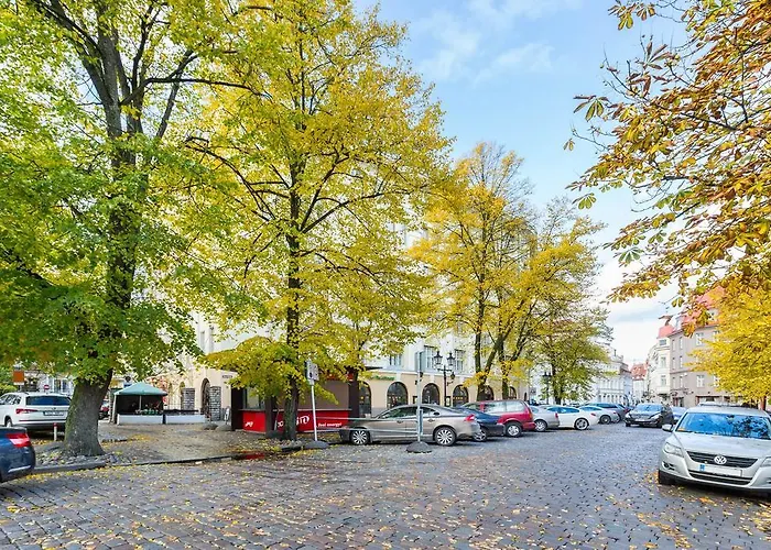 公寓 Orchid Old Town 塔林